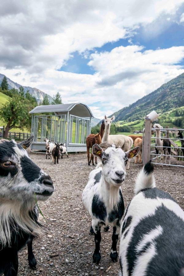 Ruggenthalerhof Apartment Matrei in Osttirol Ngoại thất bức ảnh